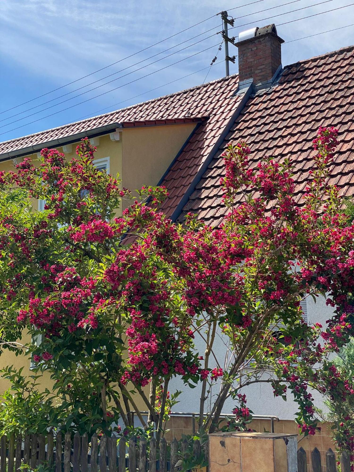 Homestay Haus Am Kuhsee *